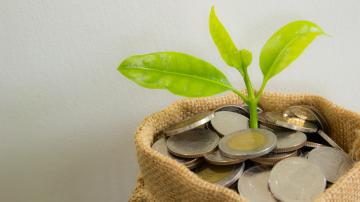 plant growing out of bag with coins