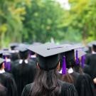 Back of group of graduates in regalia